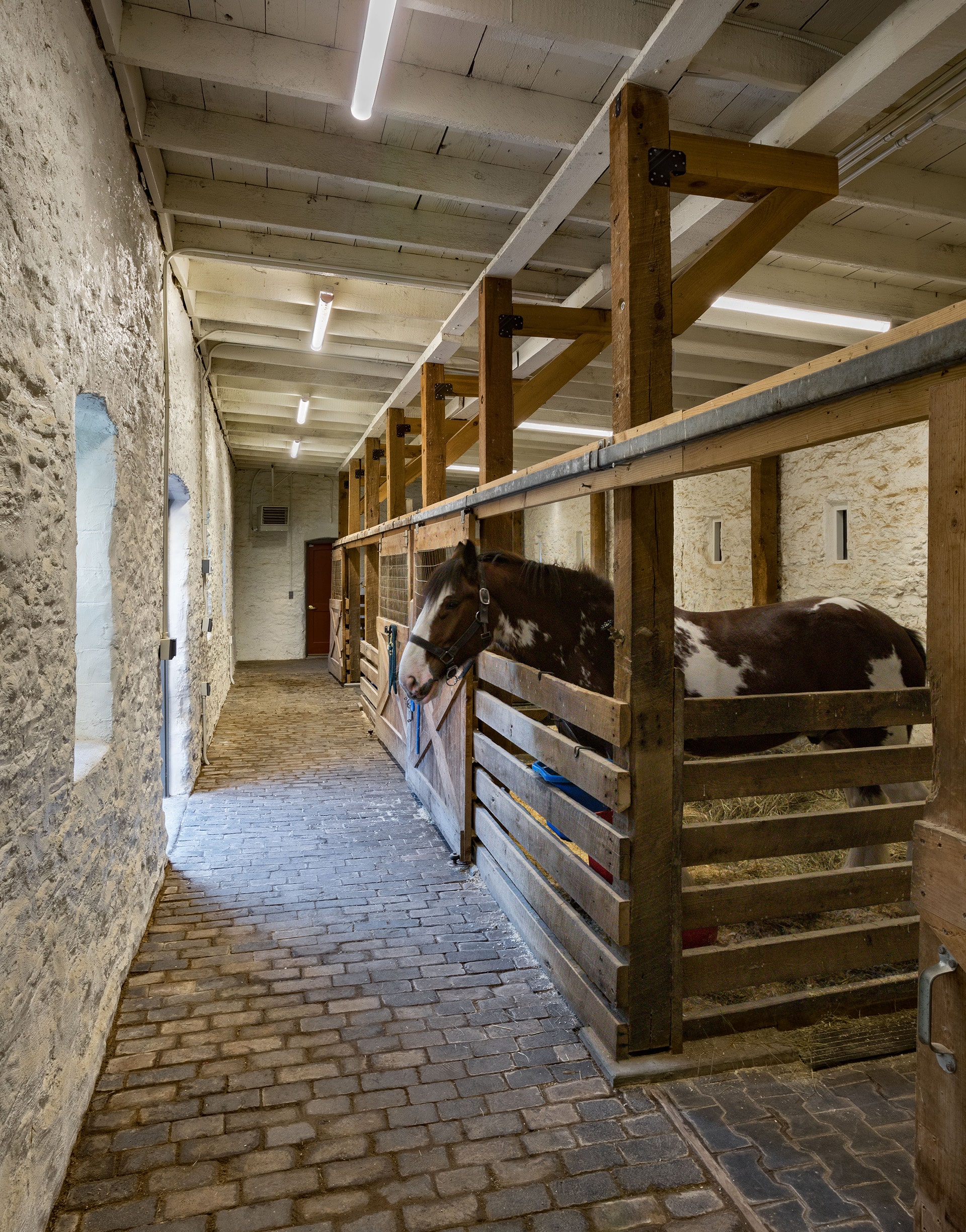 inside newly renovated stables at tower grove park designed by trivers architects in st. louis
